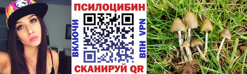 Галлюциногенные грибы Psilocybine cubensis  Каменск-Уральский 