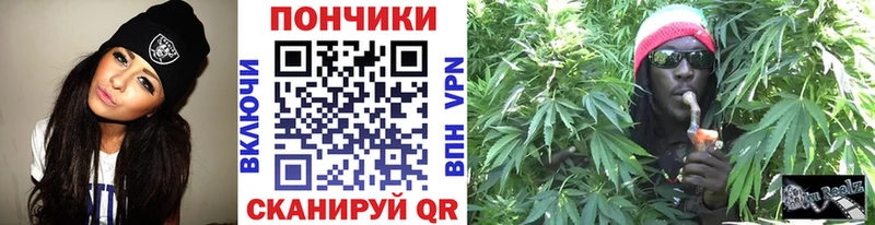 Конопля гибрид  Каменск-Уральский 